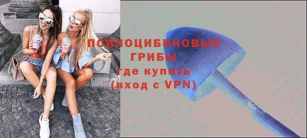 а пвп мука Балахна