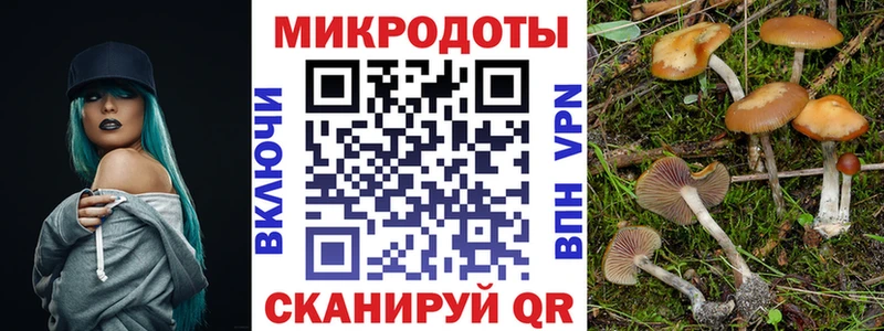 Псилоцибиновые грибы мухоморы магазин гидра вход Кстово