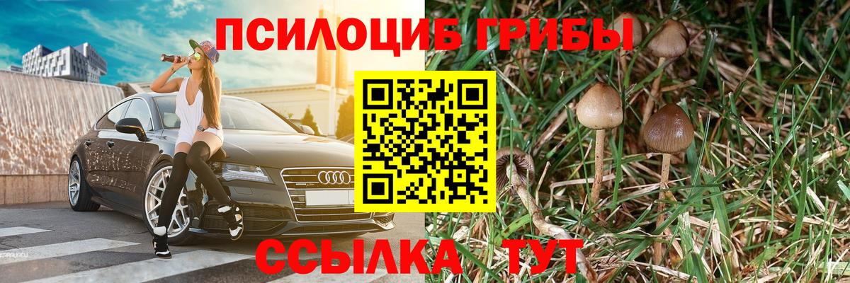 Галлюциногенные грибы прущие грибы Кстово